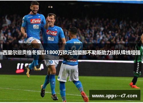 西里尔恩贡格冬窗以1800万欧元加盟那不勒斯助力球队锋线增强